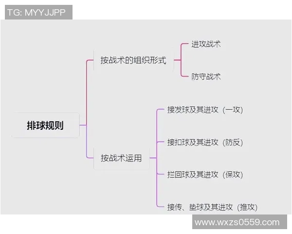 从零起步掌握排球战术全解析助你成为场上高手